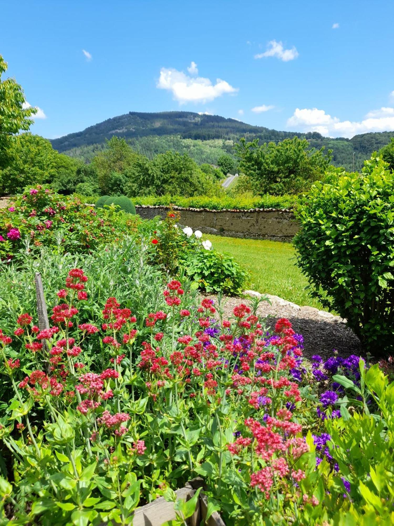 Le Jardin De Chignore Vollore-Ville Buitenkant foto